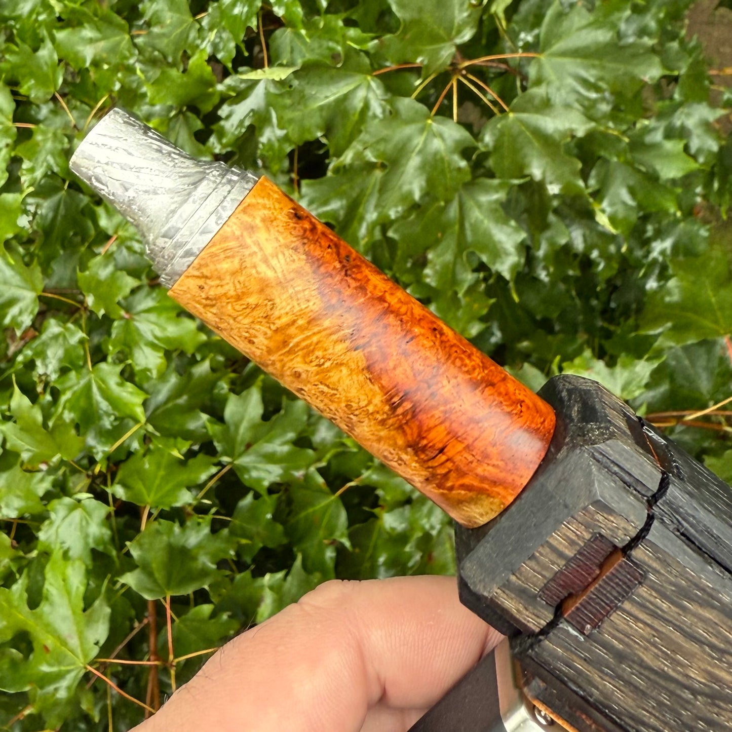 Z-stem Wood Kit - TiMascus / Amboyna Burl